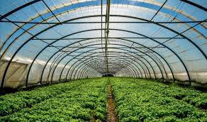 Horticulture applications