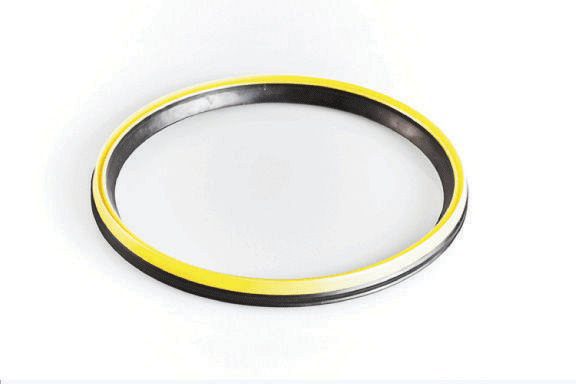 Gasket and seal rings